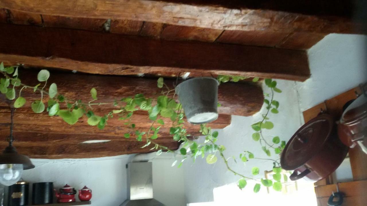 Гостьовий будинок La Casa De La Acequia Seron Екстер'єр фото