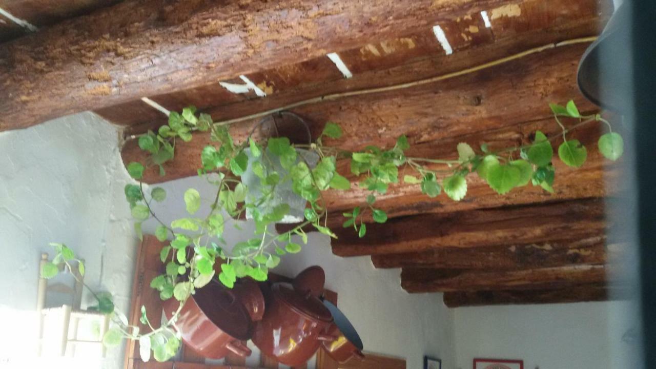 Гостьовий будинок La Casa De La Acequia Seron Екстер'єр фото
